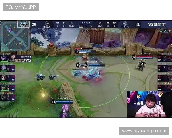 深入分析JDG战队反击策略与战术执行的成功之道