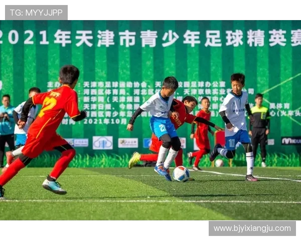 南京排球队在精英赛中的灵活性表现分析与启示